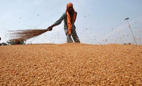 Một loại nông sản từ Brazil vào Việt Nam bất ngờ tăng nóng hơn 28.000%: Nước ta nhập khẩu nửa triệu tấn trong tháng 1, Nga thống trị thị trường toàn cầu năm 2023
