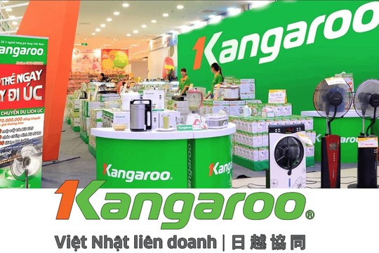 Kangaroo Quốc tế - doanh nghiệp VNR500 vừa báo thoát lỗ, không có vốn nước ngoài, Chủ tịch Nguyễn Thành Phương và Tập đoàn Kangaroo nắm đến 79% vốn