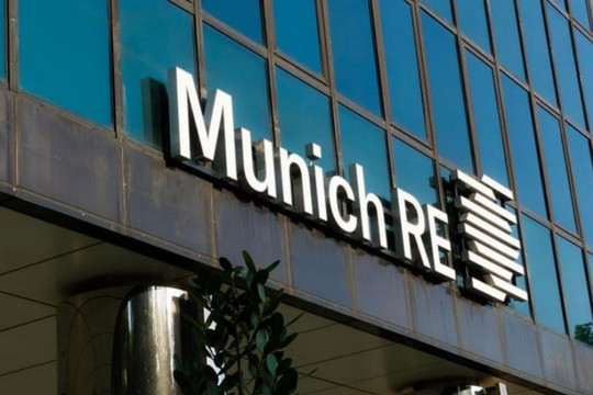 Munich Reinsurance, công ty tái bảo hiểm lớn của Đức dành tới 53% lợi nhuận để chia cổ tức 