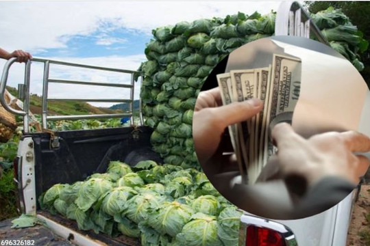Người đàn ông mang balo tiền đi mua 4kg bắp cải, cảnh sát theo chân về tận nhà: phát hiện hơn 4 tỷ đồng được cất giấu, phanh phui đường dây tội phạm tinh vi