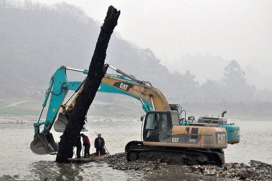 Cây gỗ dài 22m, nặng 60 tấn được phát hiện dưới sông: Giá trị ước tính hơn 10 tỷ đồng khiến cảnh sát phải phong tỏa hiện trường, máy xúc mất 2 ngày mới trục vớt được