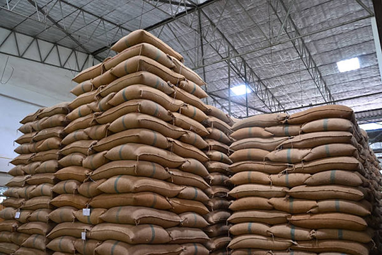 Ấn Độ cấm xuất khẩu, "hạt ngọc quý" của Việt Nam thành mặt hàng hot được nhiều nước săn đón - một quốc gia ở Đông Nam Á mạnh tay chi gần 1 tỷ USD nhập khẩu