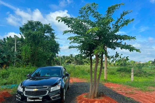 Nhà đầu tư “bấm bụng” đi vay ngân hàng, chờ giá đất lên