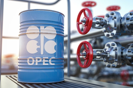 OPEC+ gia hạn cắt giảm sản lượng dầu thô đến năm 2025