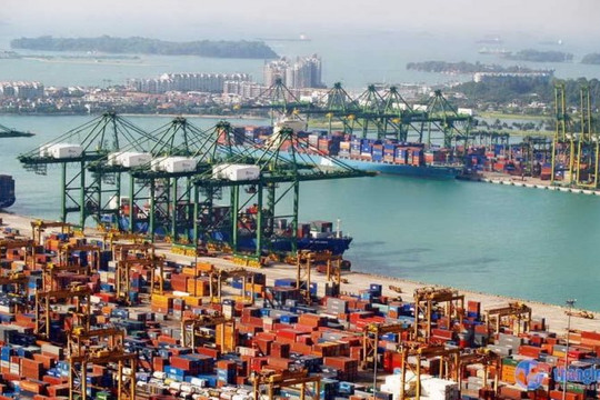Giá cước vận tải “nhảy vọt” nhìn từ sự cố Cảng Singapore tắc nghẽn nghiêm trọng