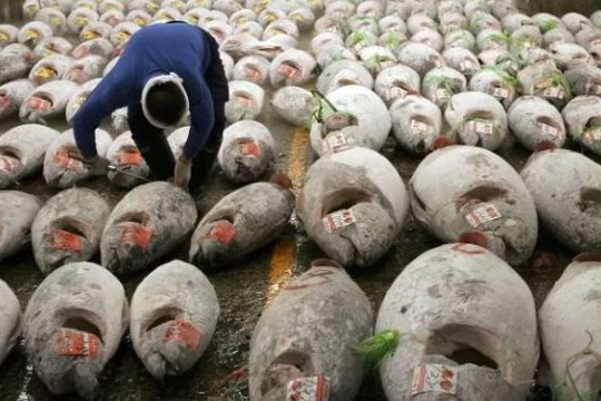 Siêu thực phẩm của Việt Nam được liên tục săn lùng: Thu gần 400 triệu trong 5 tháng, hơn 80 quốc gia khác 'đặt gạch' mua hàng