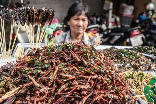 GDP/đầu người cao nhất Đông Nam Á, đạt tới hơn 2 tỷ đồng/năm, quốc gia này vừa cho phép ăn côn trùng để tăng cường an ninh lương thực