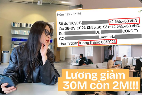 Bỏ việc văn phòng lương 30 triệu để theo đuổi đam mê, kết cục phải vật lộn sinh tồn với 2 triệu đồng mỗi tháng