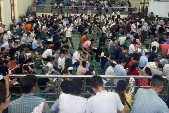 “Chảo lửa" đấu giá đất ở Thanh Oai: Lô trúng giá hơn 100 triệu đồng/m2 hiện vẫn chưa nộp tiền