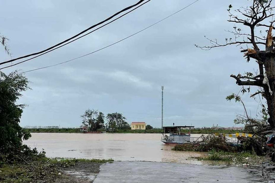 Một doanh nghiệp hiến 10.000 m³ đất để đắp đê chống lũ