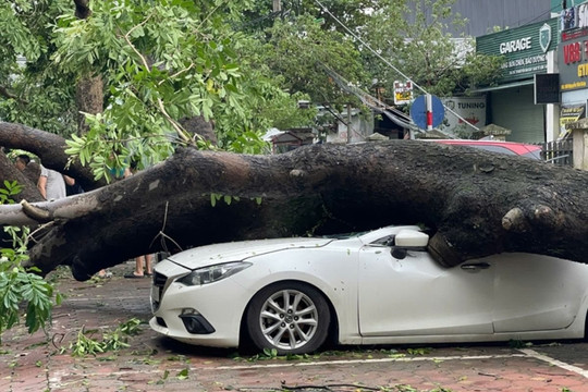 Các công ty bảo hiểm dự tính bồi thường hàng nghìn tỷ đồng thiệt hại do bão số 3