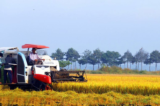 Tin vui cho người nông dân: Tăng mức hỗ trợ lên 1,5 triệu đồng/ha/năm đối với đất chuyên trồng lúa