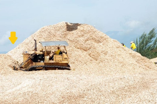 Một thứ ở VN bị bão Yagi tàn phá có thể "tái chế" thành mặt hàng tỷ đô, nên xử lý ngay để giảm thiệt hại