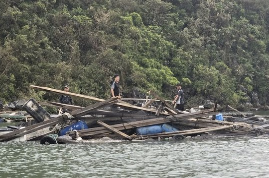 Nâng quy mô gói tín dụng ưu đãi lâm thuỷ sản lên 60.000 tỷ đồng