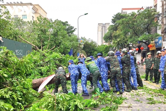 Cổ phiếu ngành bảo hiểm "lao đao" sau khi siêu bão Yagi đổ bộ, trong "nguy" có "cơ"?