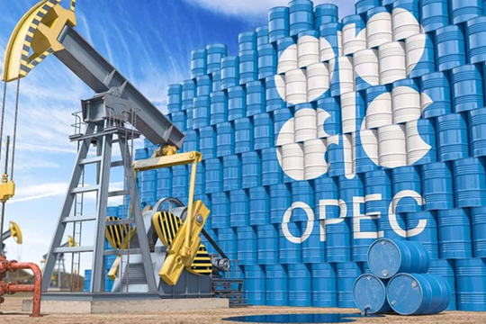 OPEC: 'loại bỏ dầu mỏ là điều viển vông'