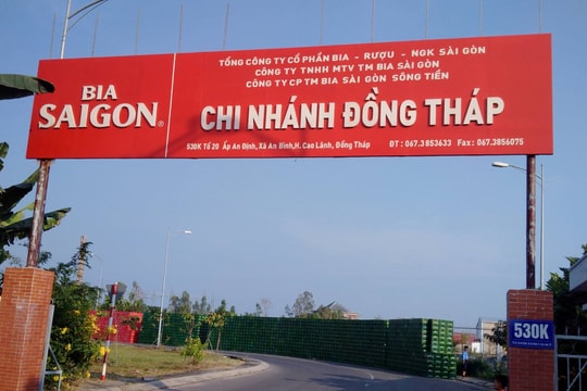 Công ty con của Sabeco sắp trả cổ tức năm 2023 bằng tiền tỷ lệ gần 200%