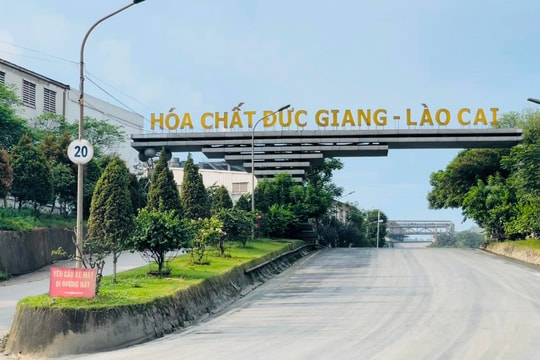 'Kho báu' Việt Nam có trữ lượng lớn thứ hai thế giới có thể đem về cho Hóa chất Đức Giang (DGC) 1,5 tỷ USD doanh thu?