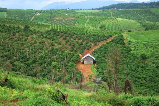 Chuyển mục đích sử dụng hơn 18ha đất rừng tại Hòa Bình để làm khu công nghiệp gần 2.000 tỷ đồng