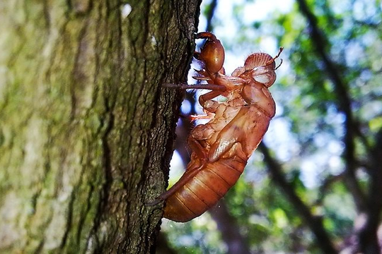 Một huyền thoại trên sàn chứng khoán lột xác ngoạn mục nhờ “chơi” TikTok lên xu hướng, giá cổ phiếu bật tăng phi mã 110% sau 2 tuần