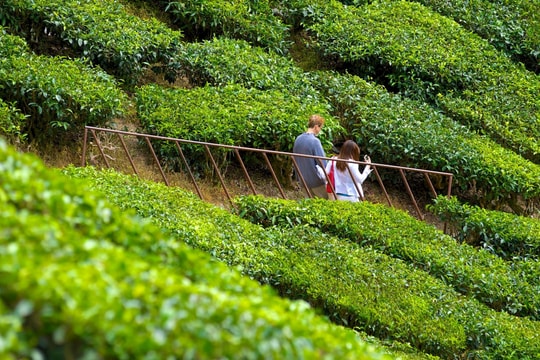 Một nước láng giềng của Việt Nam sẽ sớm thành nước thu nhập cao, một chỉ số được nhận xét "vượt trội"