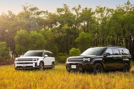 Người Việt ngày càng mê xe gầm cao: SUV lên ngôi, sedan bị thất sủng