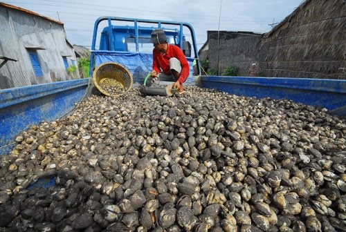 'Sản vật nước ngọt' của Việt Nam sang Trung Quốc đắt hàng kỷ lục: xuất khẩu tăng hơn 200%, châu Âu cũng nhanh chân săn đón 