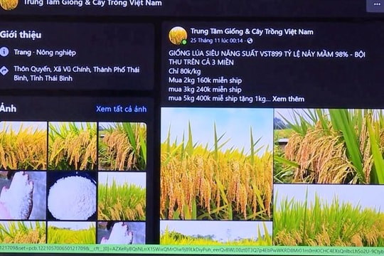 Bắt “nữ quái” lừa bán lúa qua Facebook, chiếm đoạt tiền cọc của khách hàng