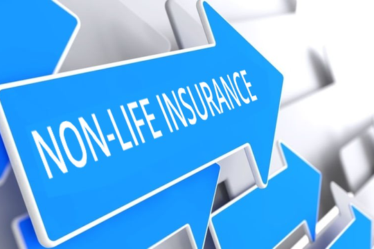 Xuất hiện công ty bảo hiểm phi nhân thọ mới Techcom Non-life Insurance