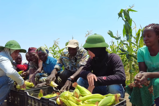 Loại nông sản bán đầy chợ Việt được team Quang Linh châu Phi đem trồng ở Angola, giá đắt gấp 5 lần vẫn cháy hàng