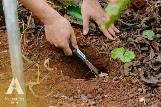 “Giờ đây cục đất, cái cây đã biết nói năng”: Một công nghệ giúp Việt Nam tránh lãng phí gần 4 tỷ USD/năm