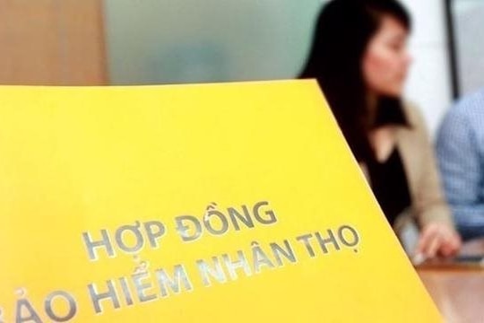 Yêu cầu bồi thường thì hợp đồng bảo hiểm nhân thọ mất hiệu lực, có thể khôi phục lại được không? 