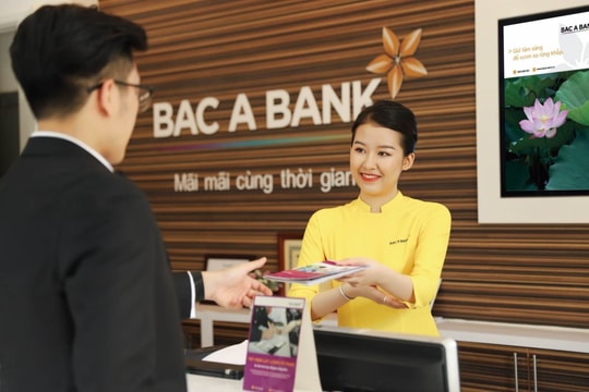 Nợ xấu có khả năng mất vốn tăng 27,7%, lợi nhuận của Bac A Bank tích cực nhờ nguồn thu ngoài lãi