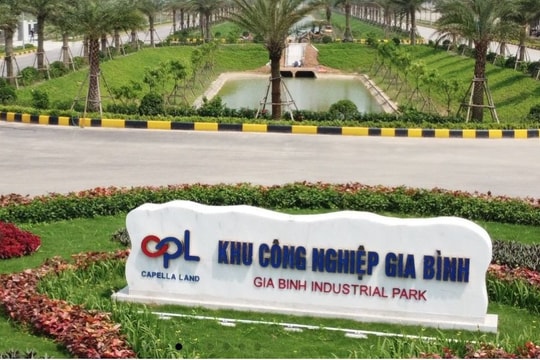 Công ty con của Capella Land làm dự án KCN 1.657 tỷ đồng tại Nam Định