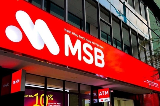 MSB báo lãi “bốc hơi” mạnh, có hơn 3.000 tỷ đồng nợ có khả năng mất vốn