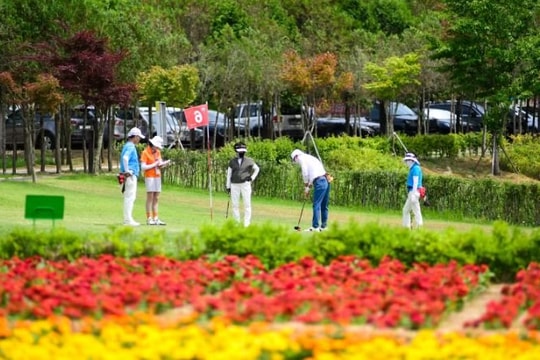 Cách người Hàn Quốc chơi golf: Tận dụng sân cỏ công viên, đánh cả ngày chỉ mất hơn 150 nghìn đồng tiền phí