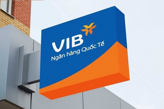 Một doanh nghiệp buôn thực phẩm vừa chi hàng trăm tỷ mua cổ phần ngân hàng VIB