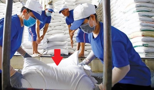 Lập kỷ lục xuất khẩu, vì sao Việt Nam vẫn mạnh tay nhập hàng triệu tấn mặt hàng này từ Campuchia?