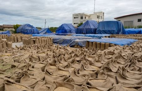 Một loại nông sản ‘trời ban’ cho Việt Nam đang bán đắt như tôm tươi tại Ukraine: Xuất khẩu tăng nóng 1.500%, nước ta là ‘trùm’ đứng thứ 3 thế giới