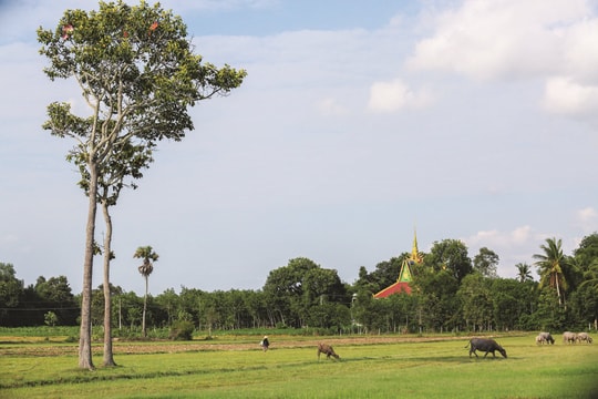 11 tháng, ngân sách tỉnh biên giới đã thu hơn 9.700 tỷ đồng, đạt 99% dự toán cả năm