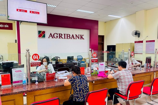 Lãi suất ngân hàng Agribank mới nhất tháng 12/2024: Tăng mạnh lên mức cao nhất nhóm Big4