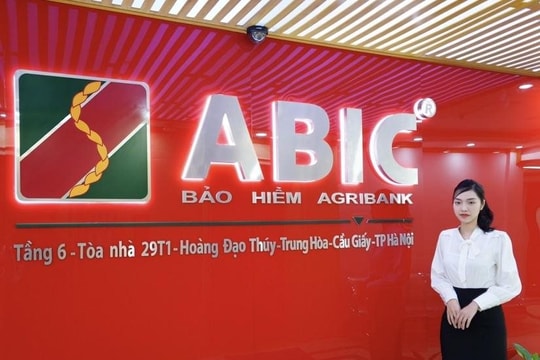 Bảo hiểm ABIC giảm 29,37 % kế hoạch lợi nhuận năm 2024 dù nửa đầu năm đang chi gần 39 triệu đồng/tháng cho nhân viên