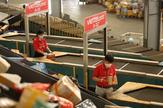 Cổ phiếu Viettel Post giảm sàn sau khi tăng hơn 60% trong 1 tháng, 80% lệnh bán đến từ "Sói già" và "Cá mập"