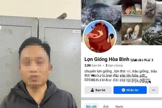 Bắt tạm giam chủ tài khoản Facebook ‘Lợn Giống Hòa Bình’