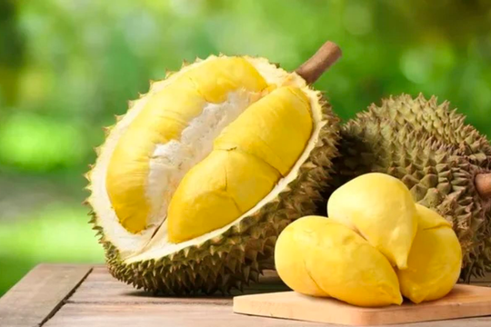 "Thu 10 đồng - lãi 7 đồng" từ sầu riêng, một DN trên sàn quyết định thanh lý 36ha đất bên Lào để tăng trồng sầu riêng