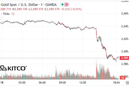 Vàng bị bán ồ ạt sau cuộc họp của FED, giá mất mốc 2.600 USD/ounce