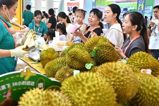 Cơn cuồng sầu riêng ĐNÁ tại Trung Quốc: Dân trung lưu tiết kiệm vẫn chi tiền mua dòng cao cấp, hiện tiêu thụ hơn 90% sản lượng toàn cầu