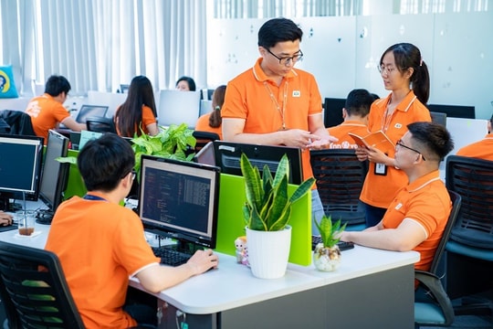 Lãnh đạo FPT 'khoe' đã nhận 350.000 hồ sơ ứng tuyển vào tập đoàn nhưng chỉ chấm đỗ hơn 6% trong năm 2024, gần ngang tỷ lệ chọi tại Harvard 
