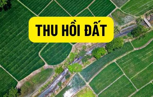 Luật mới quy định chi tiết 32 trường hợp sẽ bị thu hồi đất, người dân nhất định phải nắm rõ