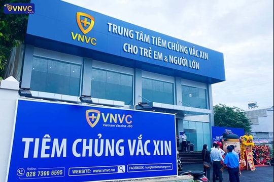 Một công ty hoạt động trong lĩnh vực y tế tại Quảng Ninh bị cưỡng chế thuế